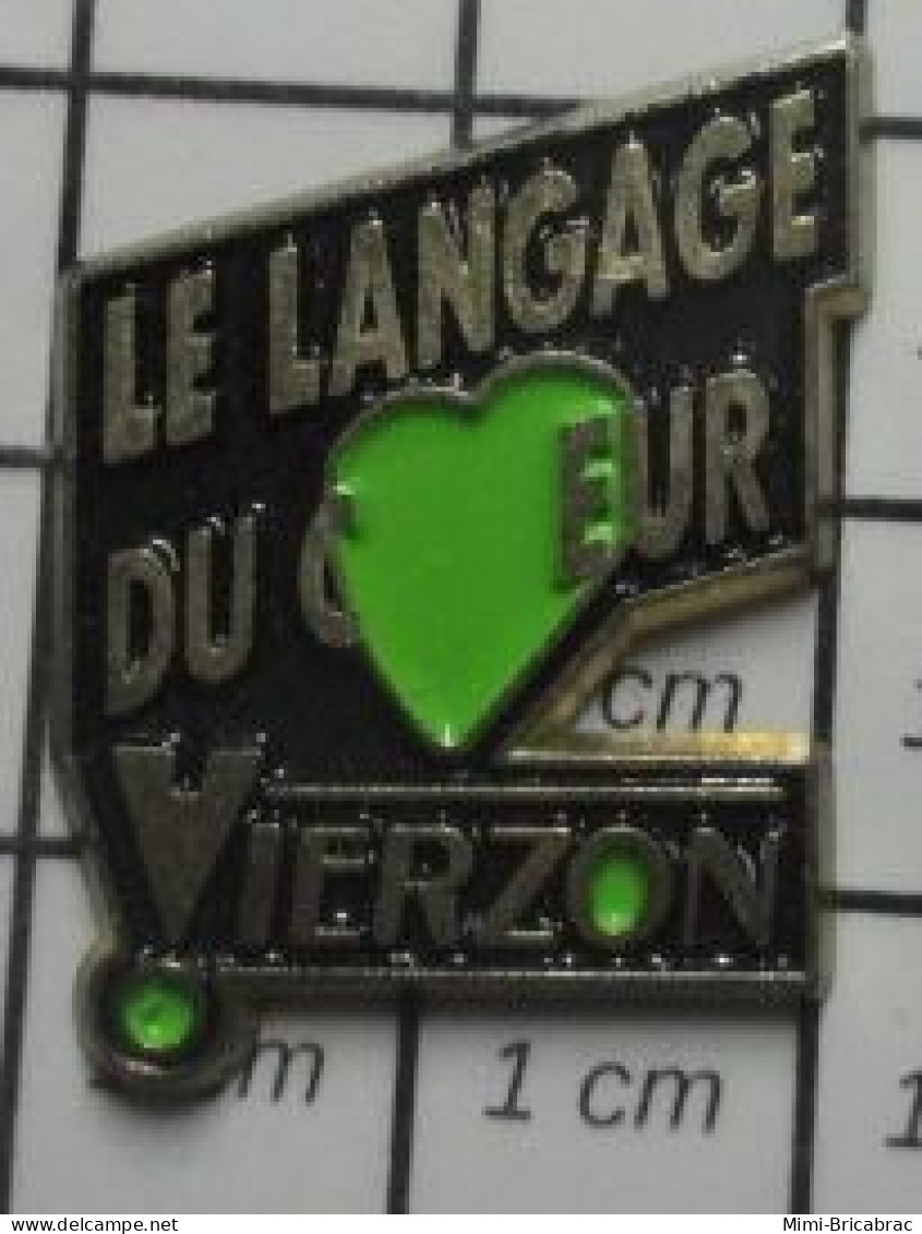 3517 Pin's Pins / Beau Et Rare / VILLES / LE LANGAGE DU COEUR VIERZON COEUR VERT - Steden