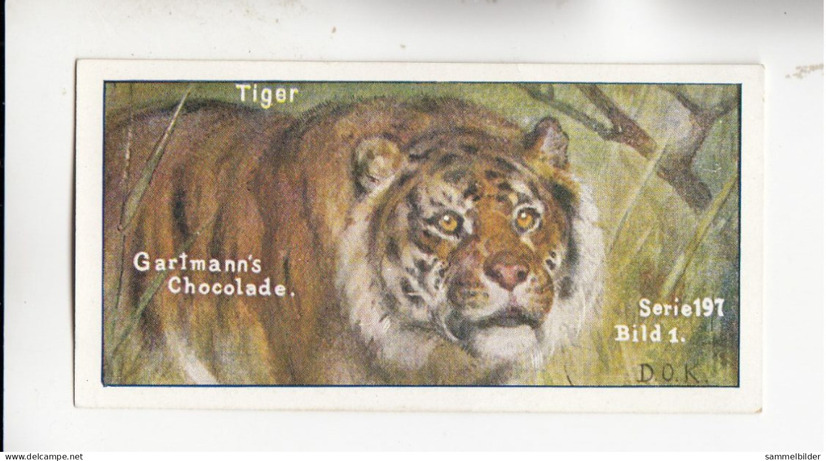 Gartmann Raubtiere Der Tiger   Serie 197 #1 Von 1907 - Otros & Sin Clasificación