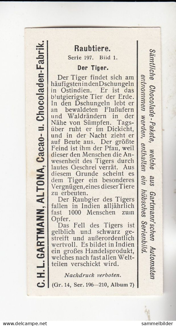 Gartmann Raubtiere Der Tiger   Serie 197 #1 Von 1907 - Andere & Zonder Classificatie