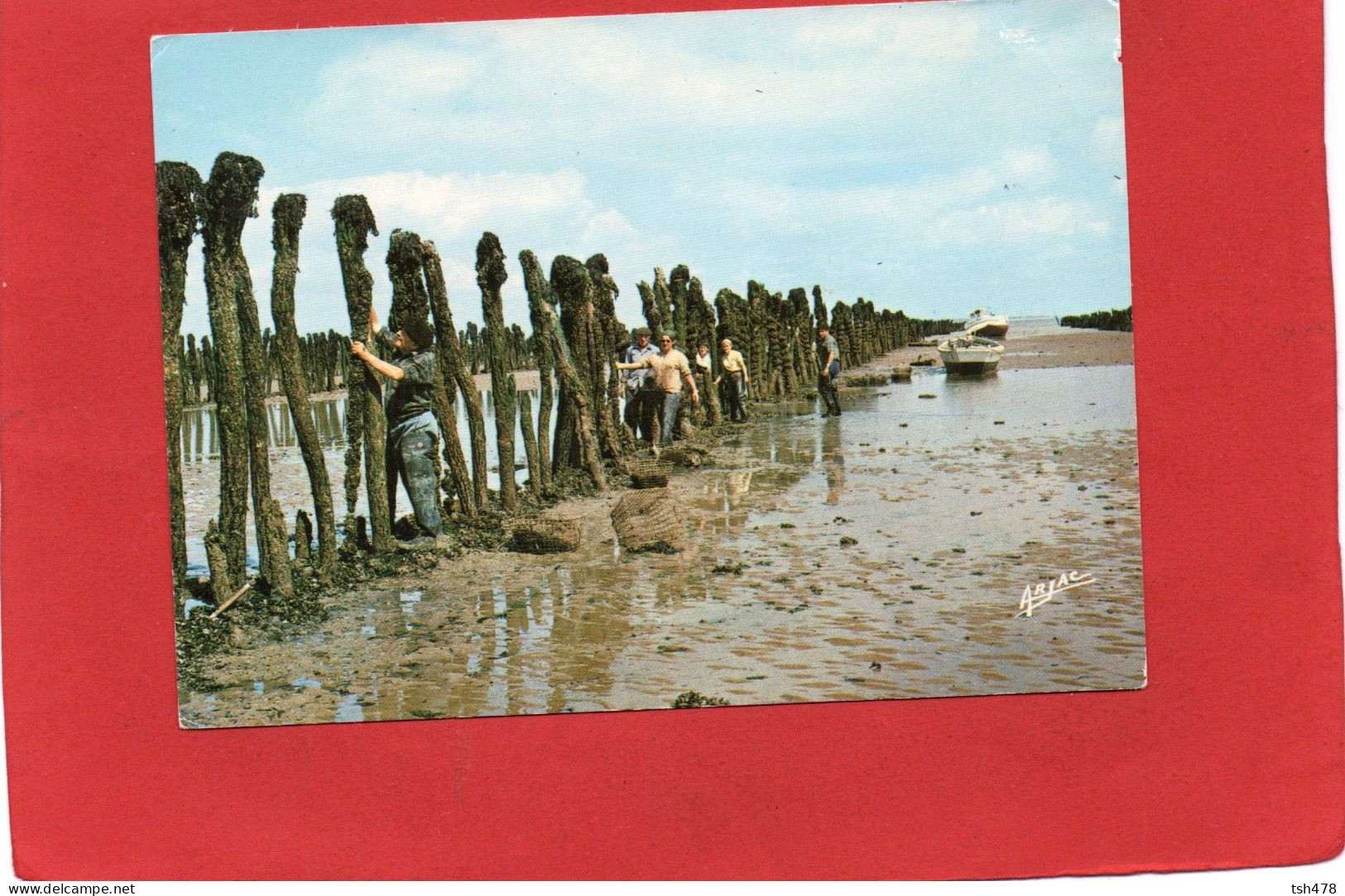 17-----ILE D'OLERON--Les Boucholeurs à Boyardville--voir 2 Scans - Ile D'Oléron