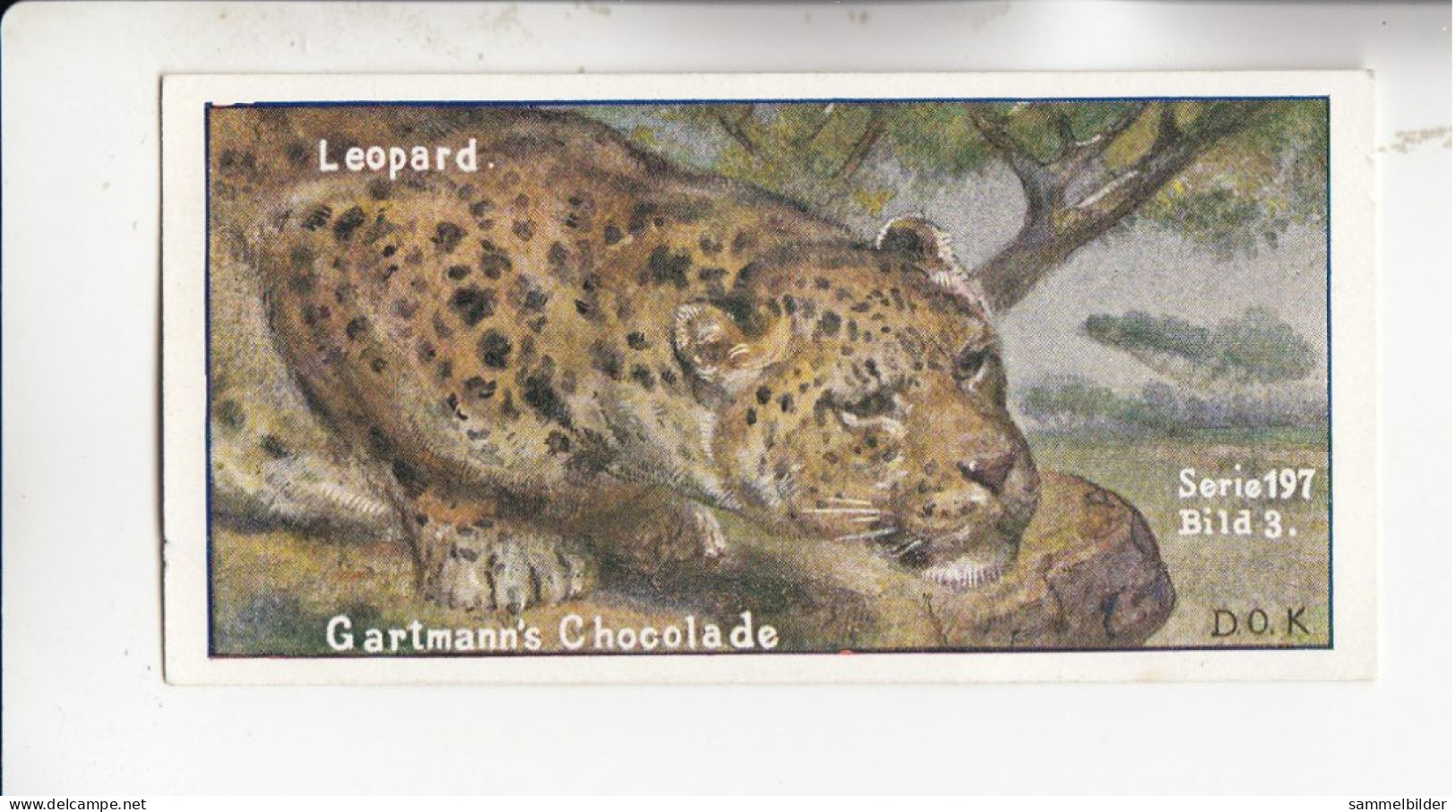 Gartmann Raubtiere Der Leopard   Serie 197 #3 Von 1907 - Sonstige & Ohne Zuordnung