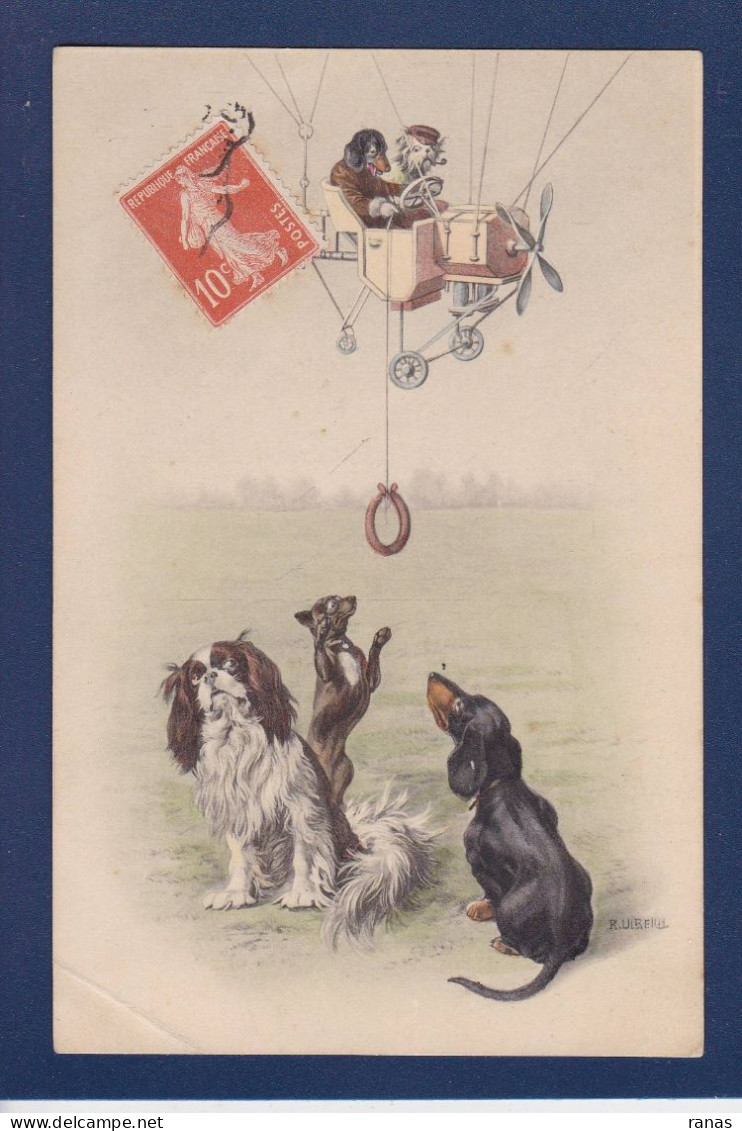 CPA Chien Aviation Teckel Dackel Dachshund Circulée Vienne Viennoise Ulreich - Dogs