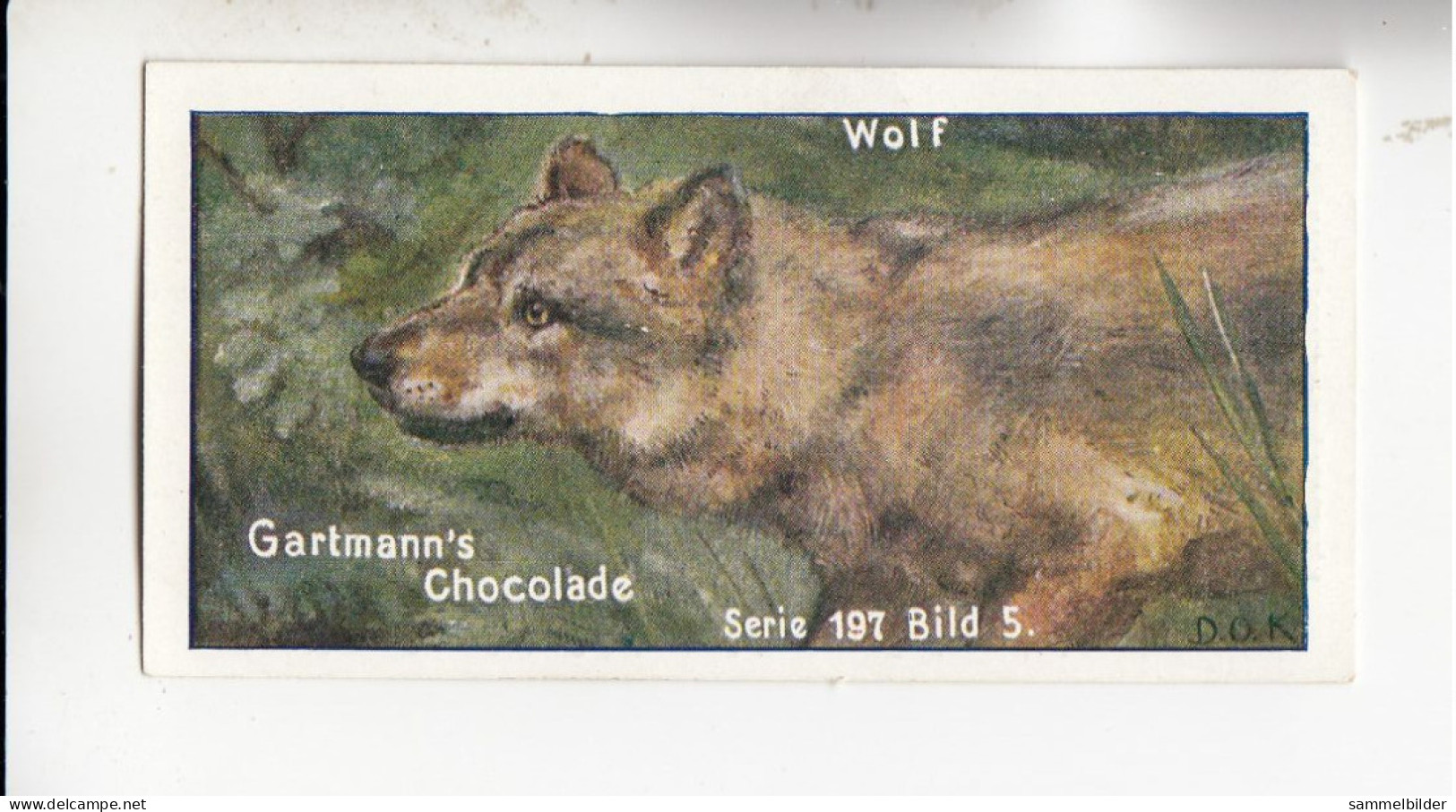 Gartmann Raubtiere Der Wolf    Serie 197 #5 Von 1907 - Other & Unclassified