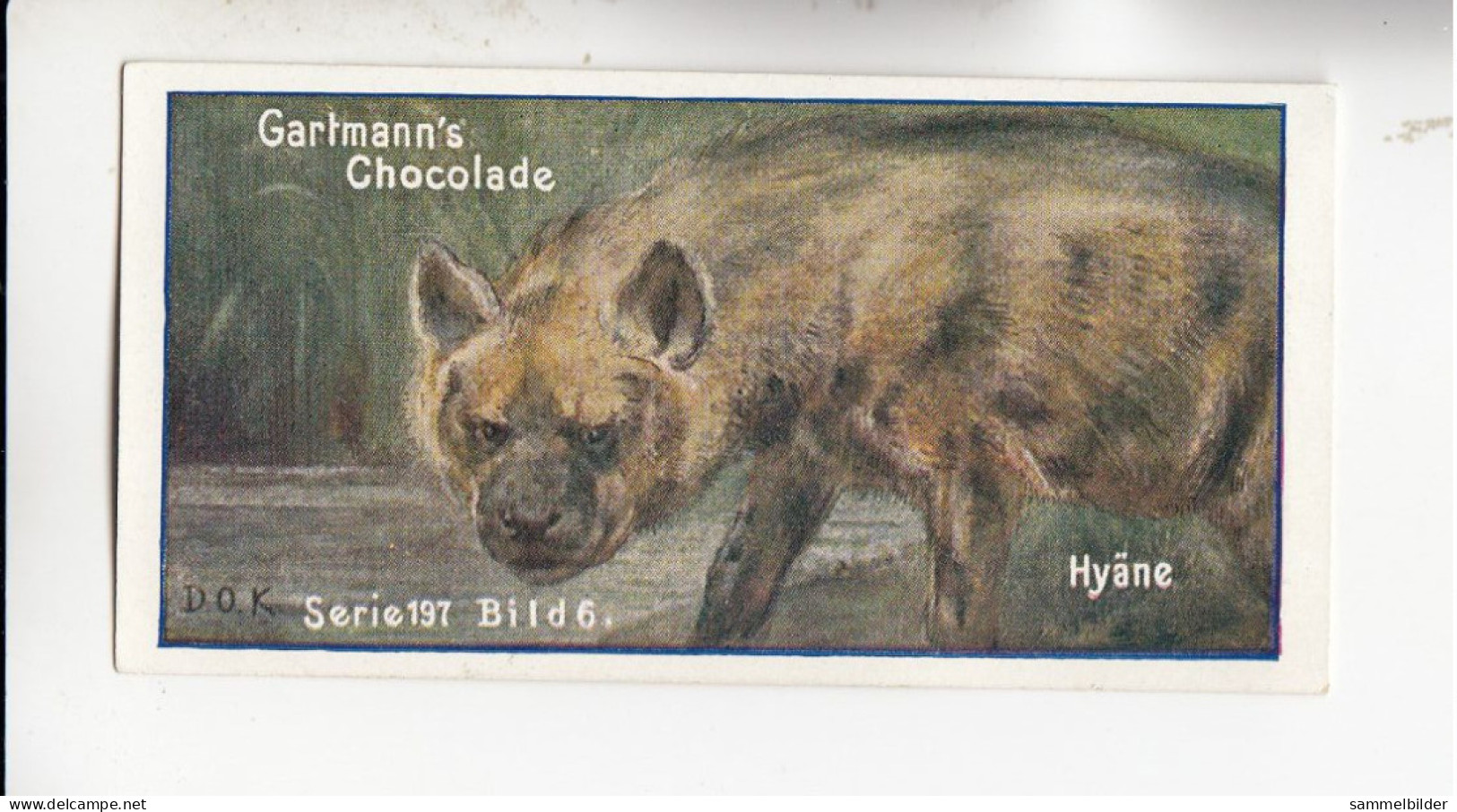 Gartmann Raubtiere Die Hyäne    Serie 197 #6 Von 1907 - Other & Unclassified
