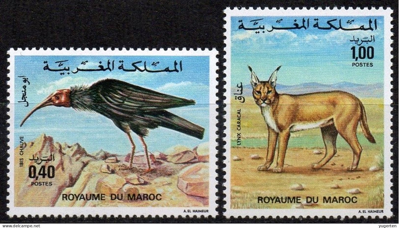 MAROC MOROCCO 1975 - 2v - MNH - Faune Marocaine - Ibis Chauve - Lynx - Birds - Animals - Fauna Lince Luchs - Autres & Non Classés