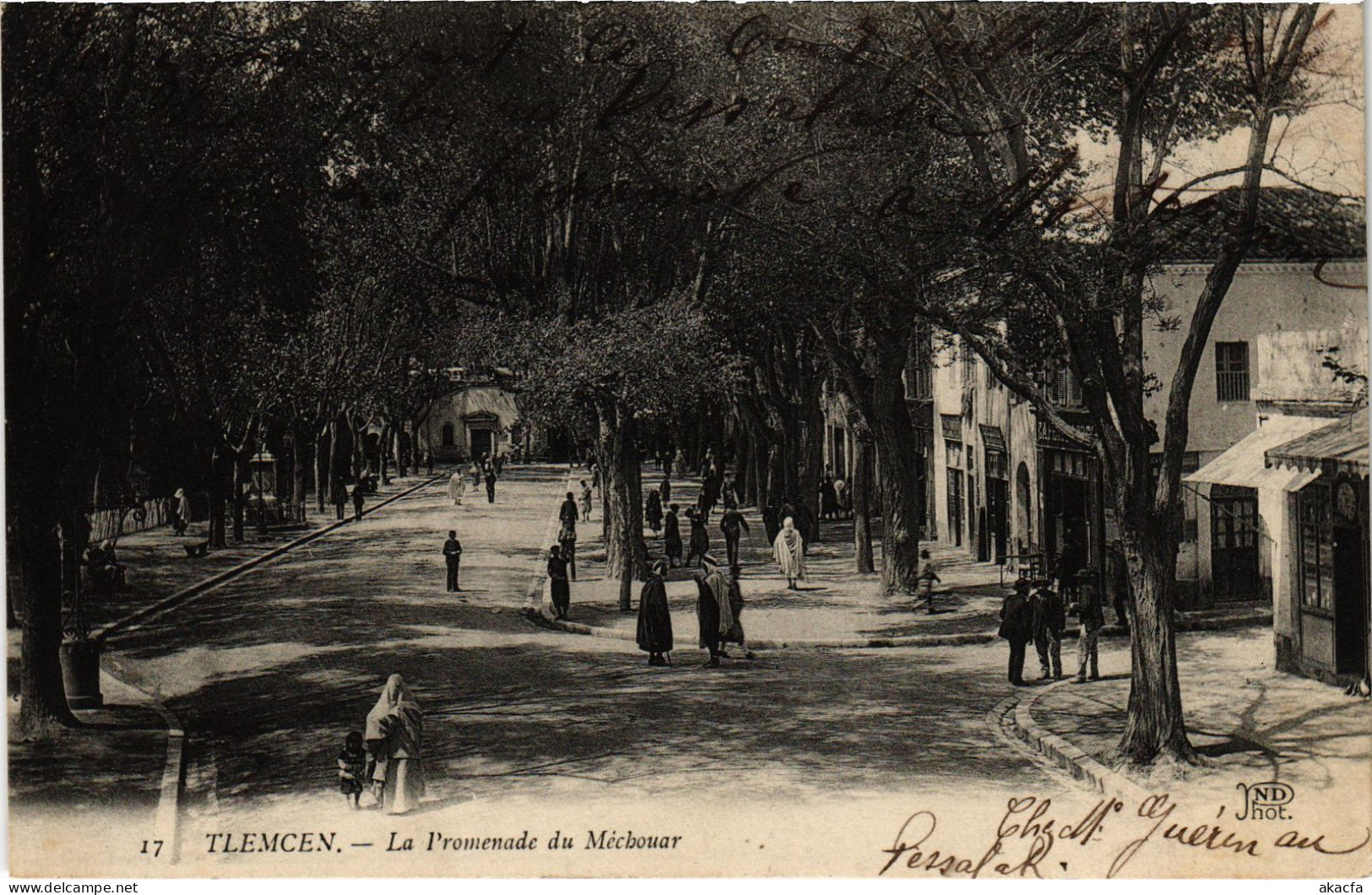 CPA AK TLEMCEN Promenade Du Mechouar ALGERIA (1388681) - Tlemcen