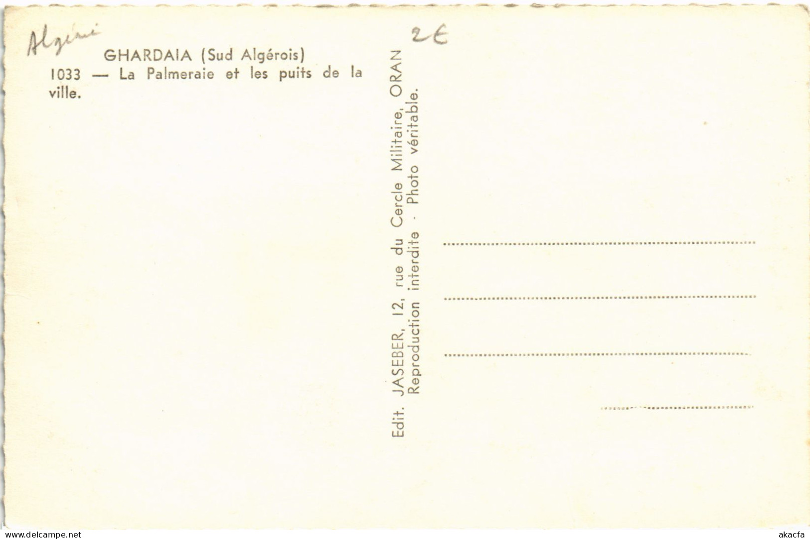 CPA AK GHARDAIA La Palmeraie Et Les Puits De La Ville ALGERIA (1388629) - Ghardaïa