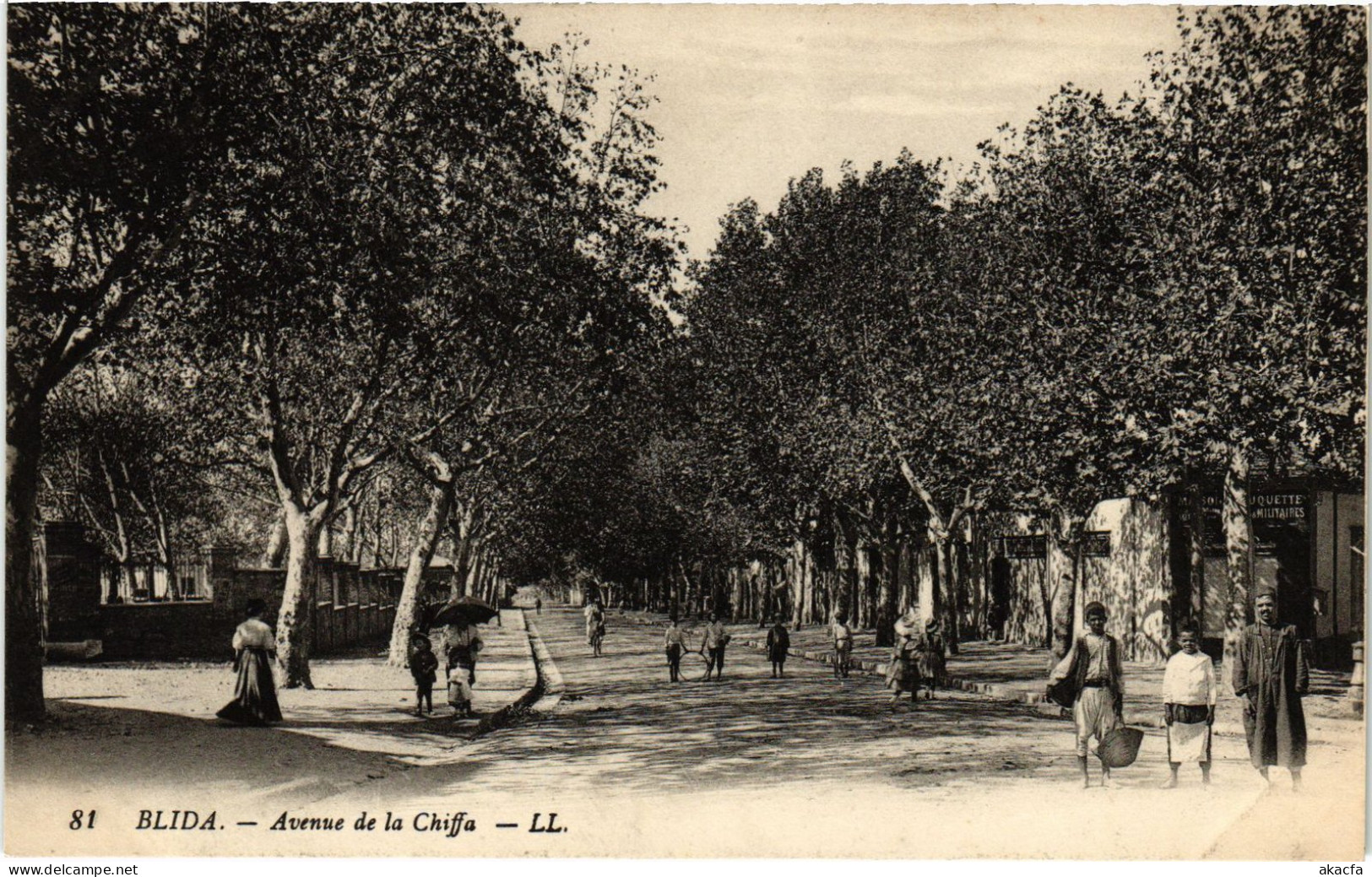 CPA AK BLIDA Avenue De La Chiffa ALGERIA (1388476) - Blida