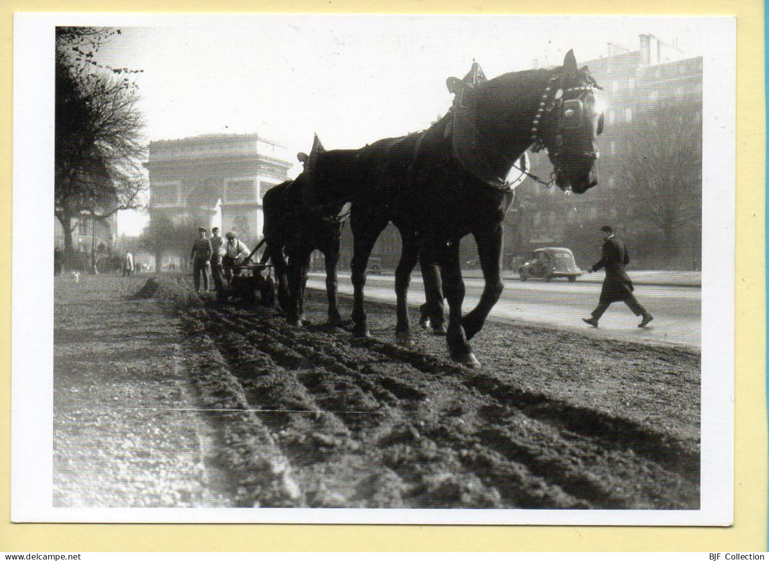 Labourage Avenue Foch / Paris 14 Novembre 1933 - Landbouwers