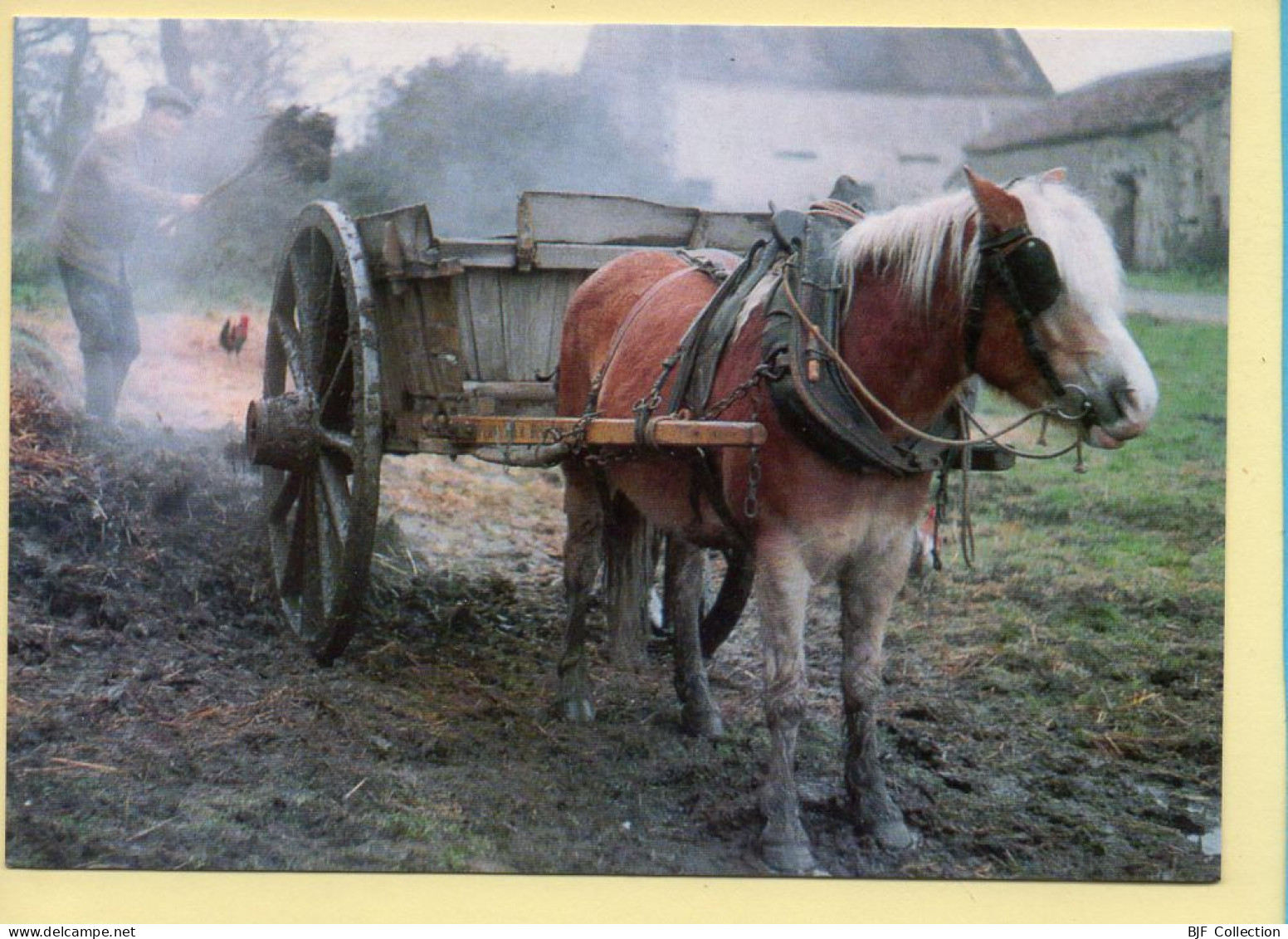 Attelage / Domaine Du Couteil / St-Leger-Magnazeix (87) - Paesani