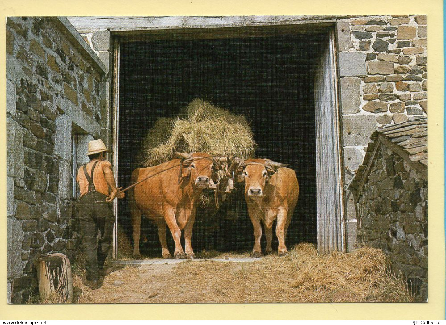 Attelage De Bœufs Servant à Rentrer Le Foin Dans La Grange / Carte Toilé - Farmers