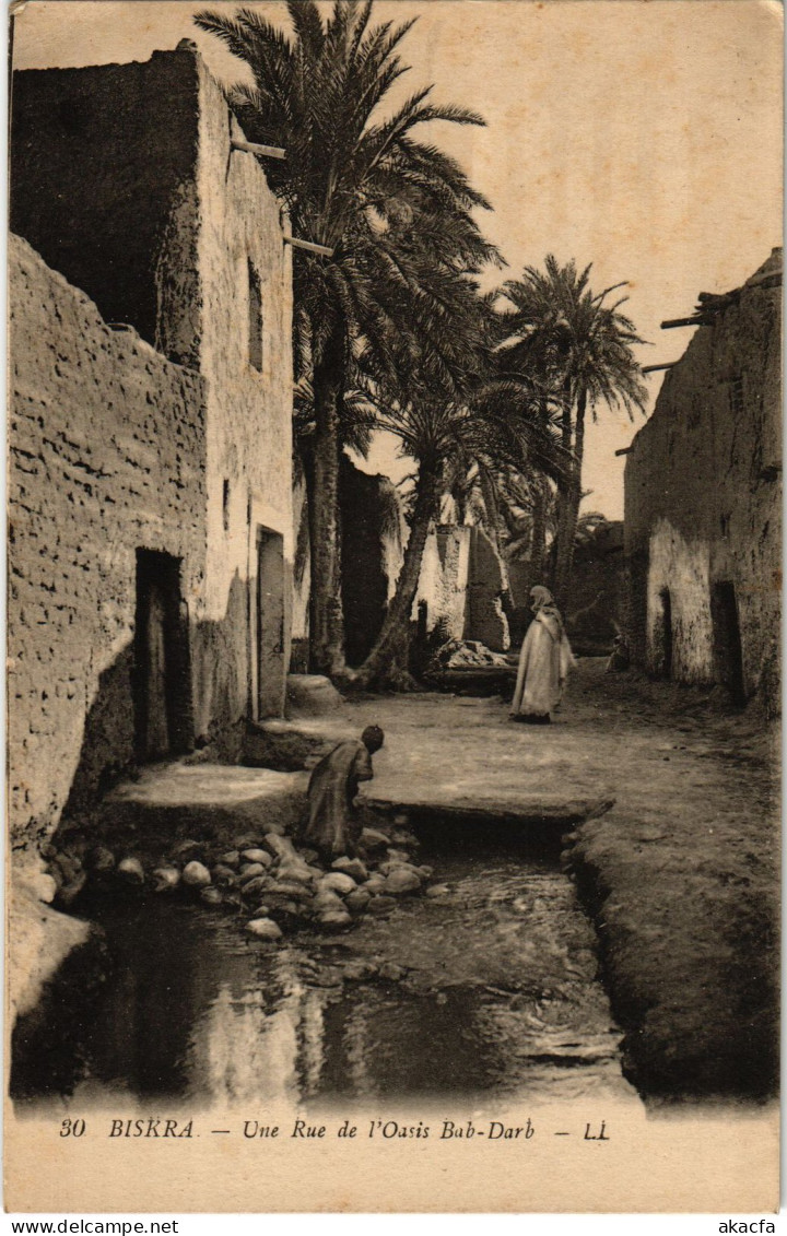 CPA AK BISKRA Une Rue De L'Oasis Bab-Darb ALGERIA (1389433) - Biskra
