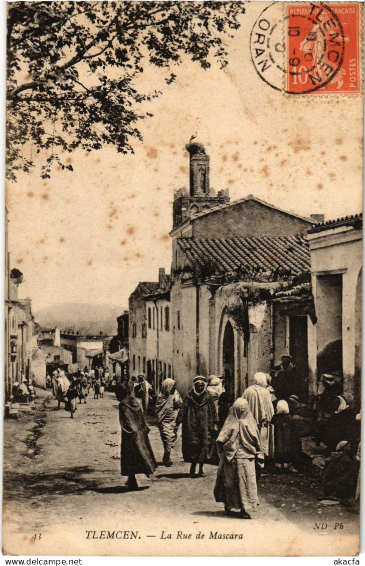 CPA AK TLEMCEN La Rue De Mascara ALGERIA (1389435) - Tlemcen