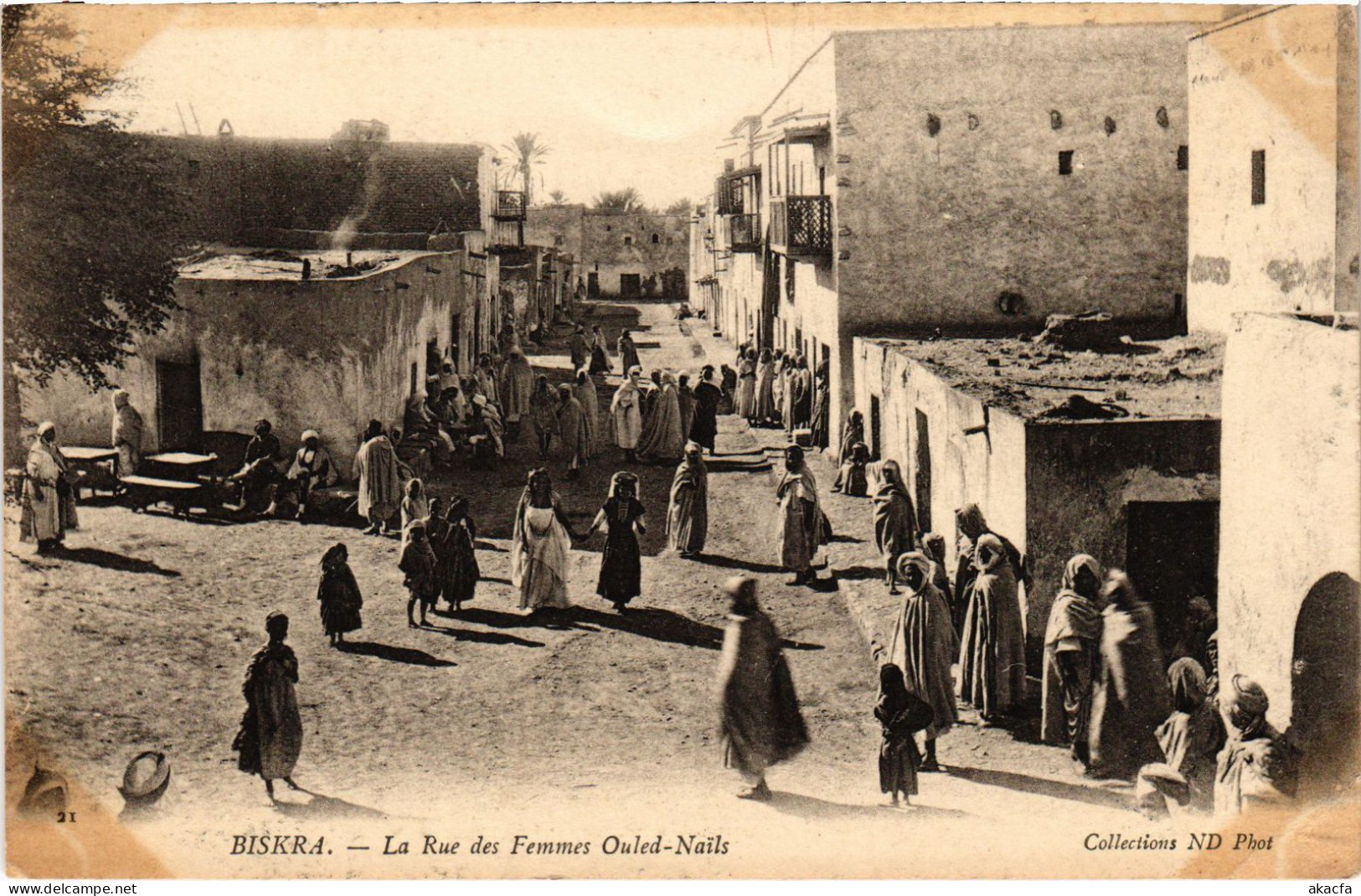 CPA AK BISKRA La Rue Des Femmes Ouled-Nails ALGERIA (1389183) - Biskra