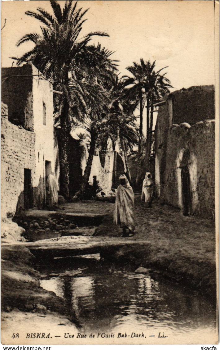 CPA AK BISKRA Une Rue De L'Oasis Bab-Dark ALGERIA (1389098) - Biskra