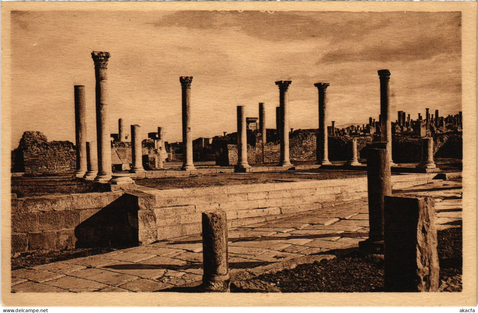 CPA AK TIMGAD Ruines Romaines - Bibliotheque ALGERIA (1388952) - Sonstige & Ohne Zuordnung