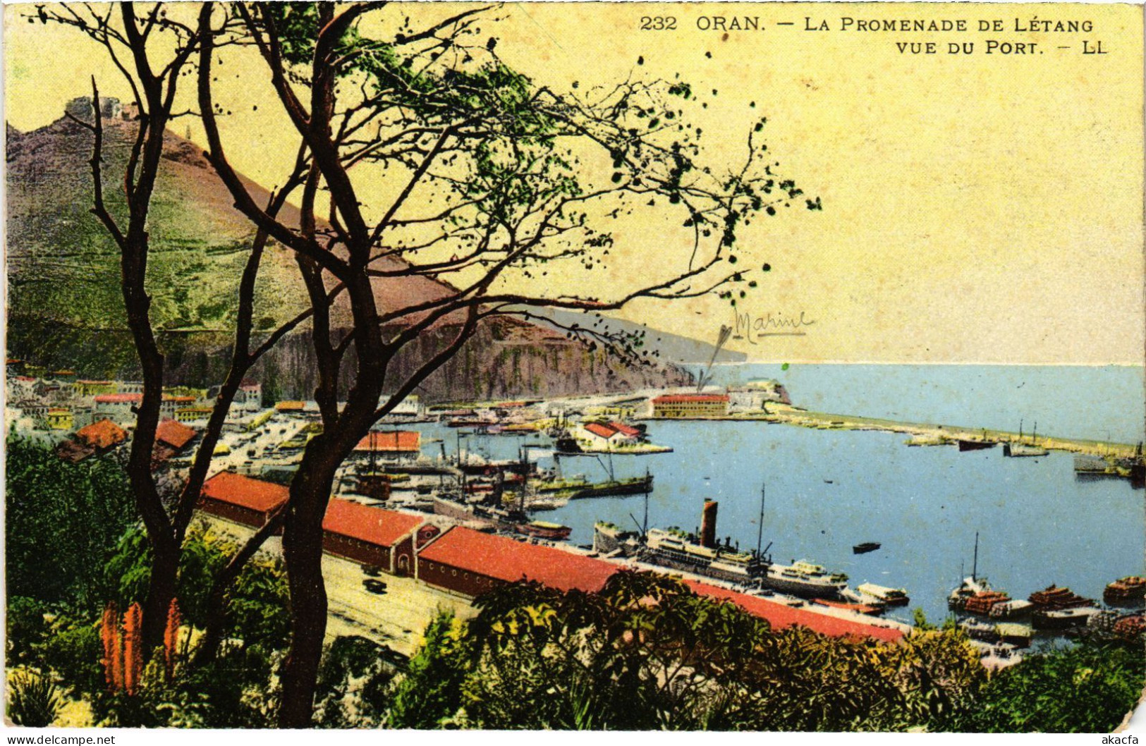 CPA AK ORAN La Promenade De Letang - Vue Du Port ALGERIA (1388949) - Oran