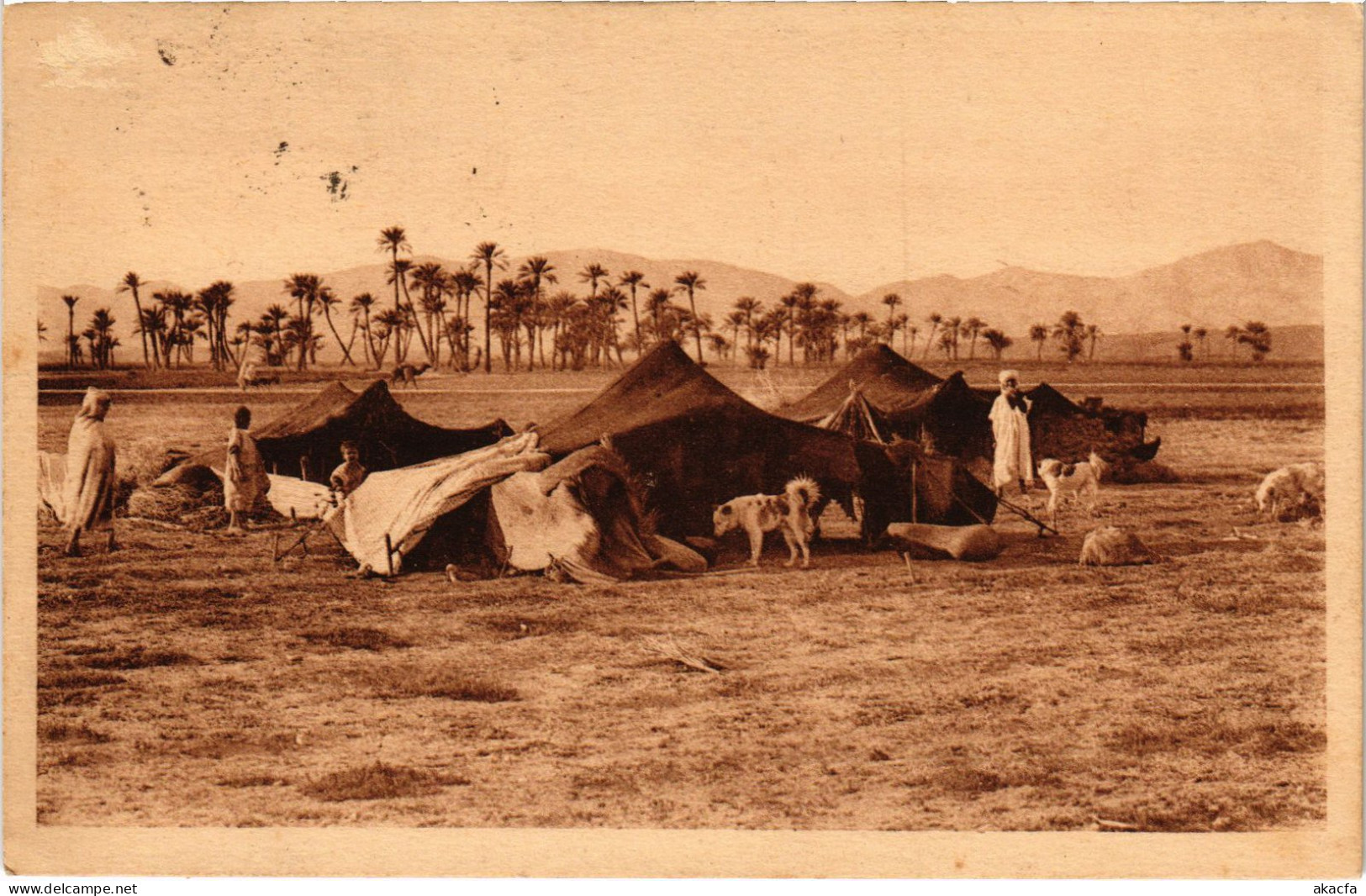 CPA AK Environs De BISKRA Campement De Nomades ALGERIA (1389873) - Biskra