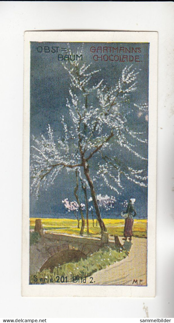 Gartmann Bäume Obstbaum   Serie 201 #2 Von 1907 - Autres & Non Classés