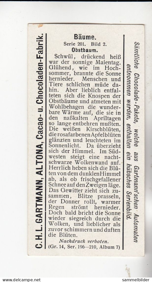 Gartmann Bäume Obstbaum   Serie 201 #2 Von 1907 - Otros & Sin Clasificación