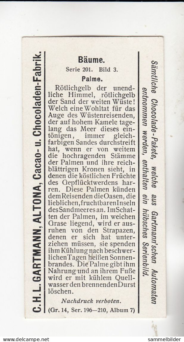 Gartmann Bäume Palme   Serie 201 #3 Von 1907 - Sonstige & Ohne Zuordnung