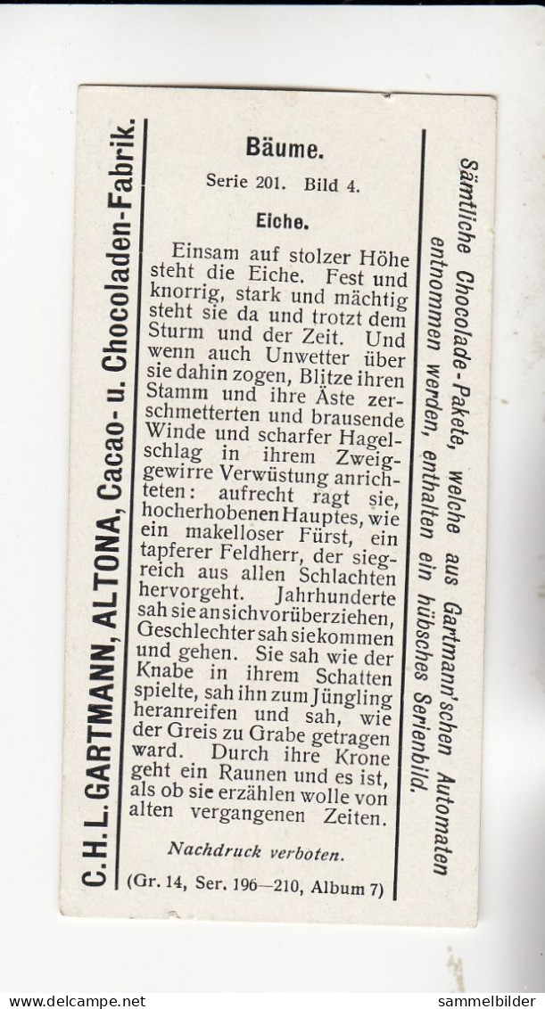 Gartmann Bäume Eiche  Serie 201 #4 Von 1907 - Andere & Zonder Classificatie
