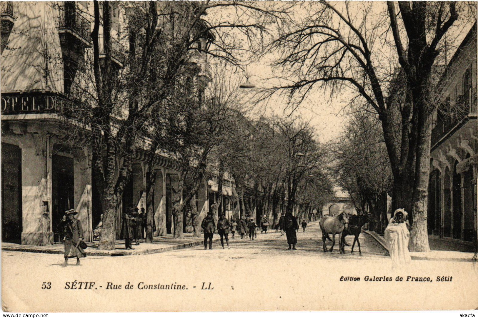 CPA AK SETIF Rue De Constantine ALGERIA (1389499) - Sétif