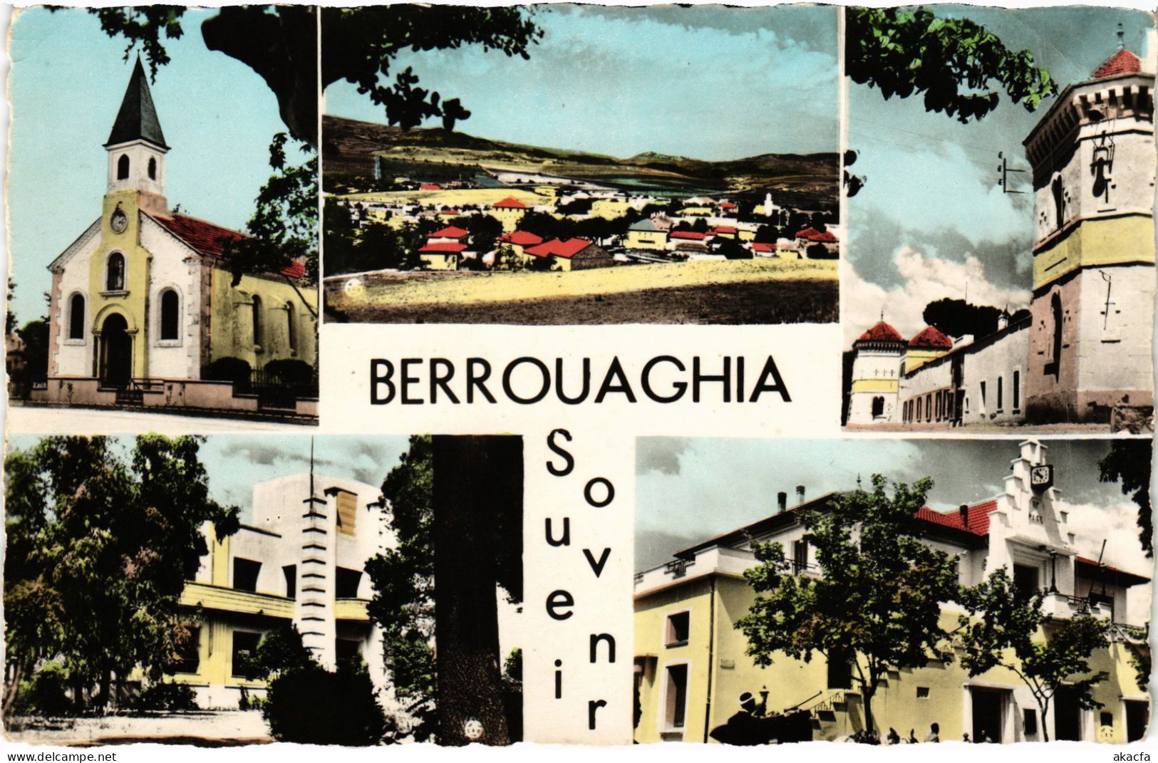 CPA AK BERROUAGHIA Scenes ALGERIA (1389474) - Sonstige & Ohne Zuordnung