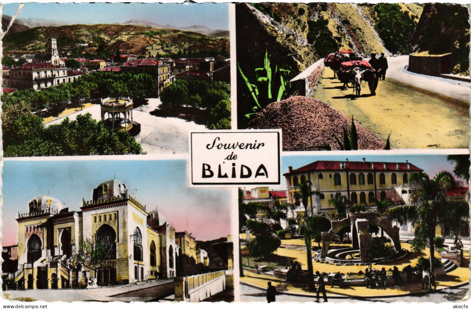 CPA AK BLIDA Scenes ALGERIA (1389440) - Blida