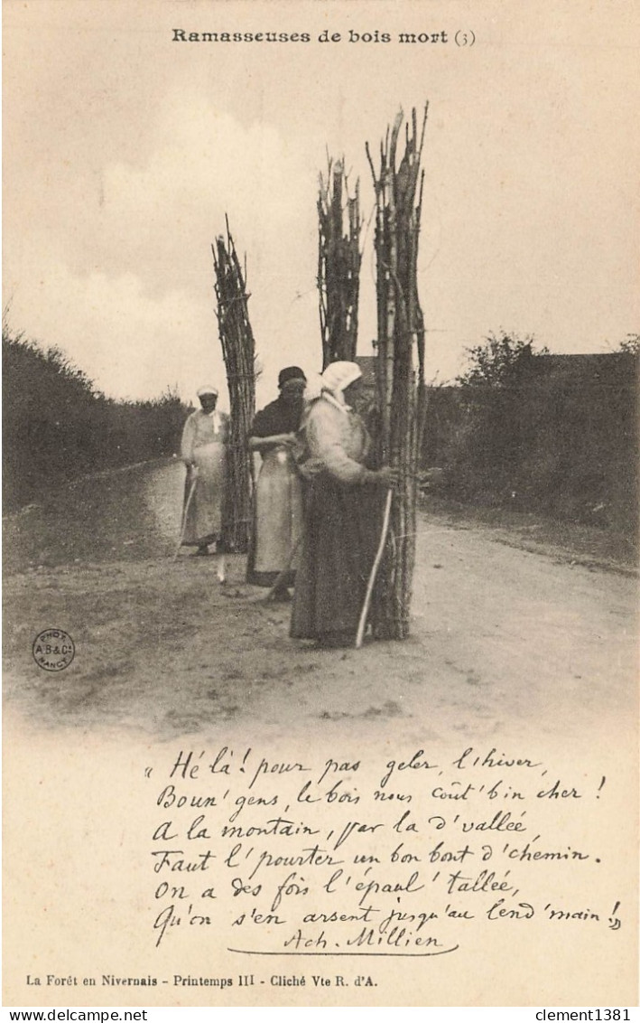 La Foret En Nivernais Printemps Ramasseuses De Bois Mort Petit Vieux Métier - Otros & Sin Clasificación