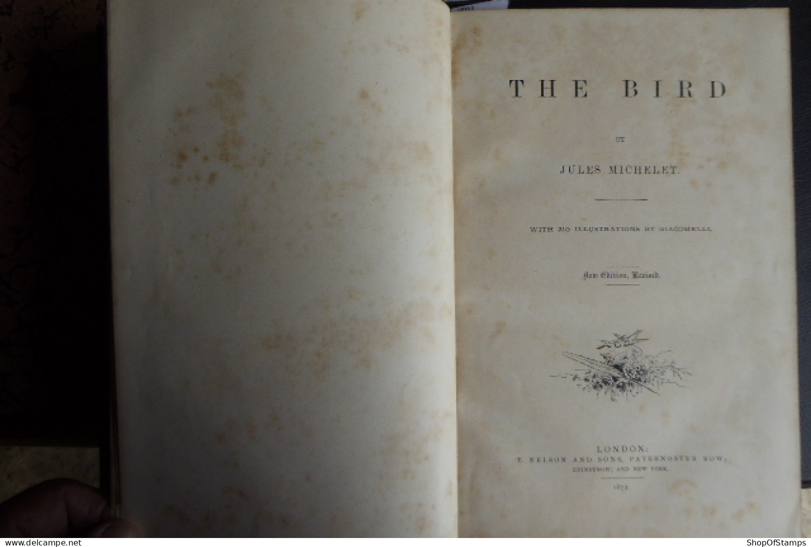 BOOK; THE BIRD By JULES MICHELET Collar BROKEN 1872 With 210 Illustrations By GIACOMELLI - Vida Salvaje