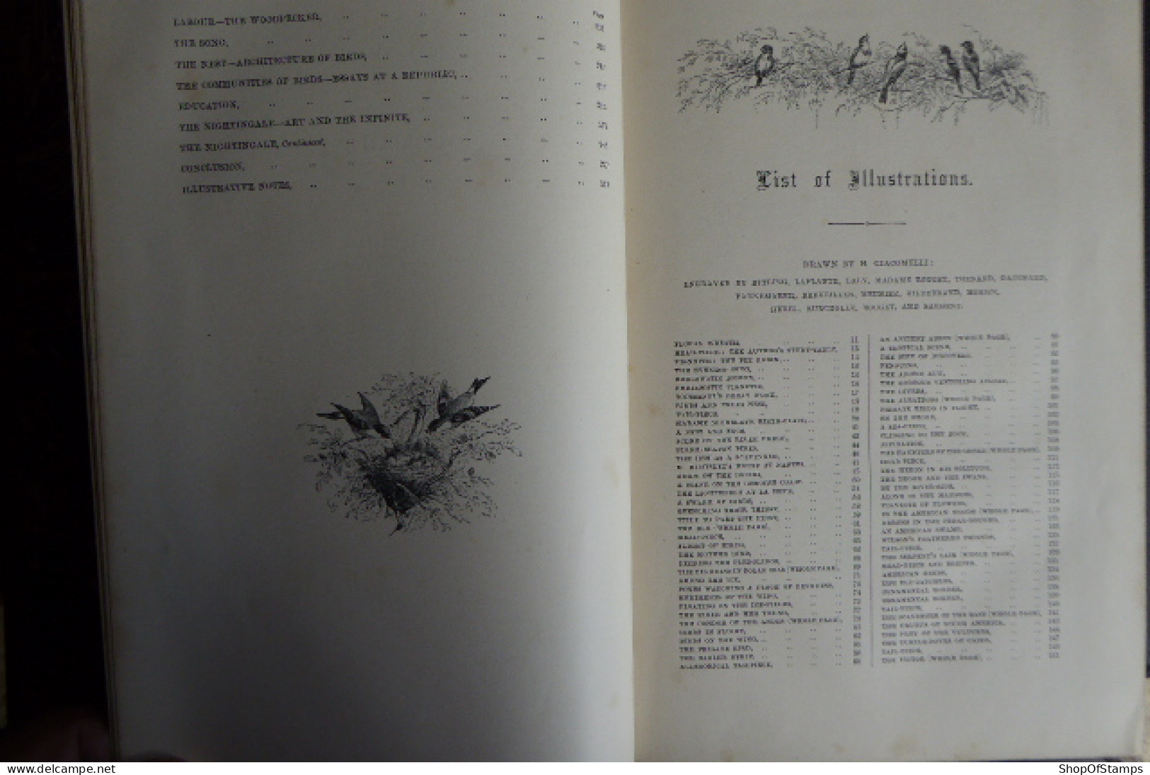BOOK; THE BIRD By JULES MICHELET Collar BROKEN 1872 With 210 Illustrations By GIACOMELLI - Fauna
