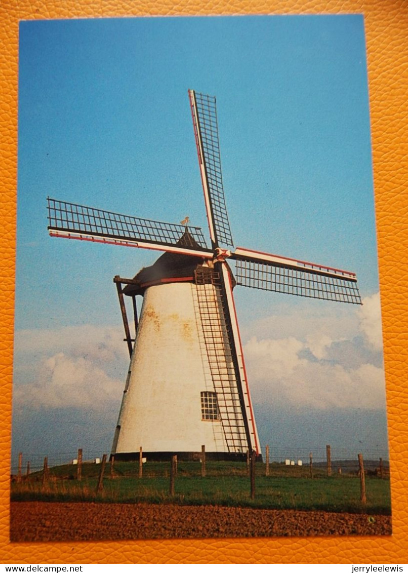 NUKERKE  (Maarkedal)  -  Ter Hengst Molen - Sint-Gillis-Waas