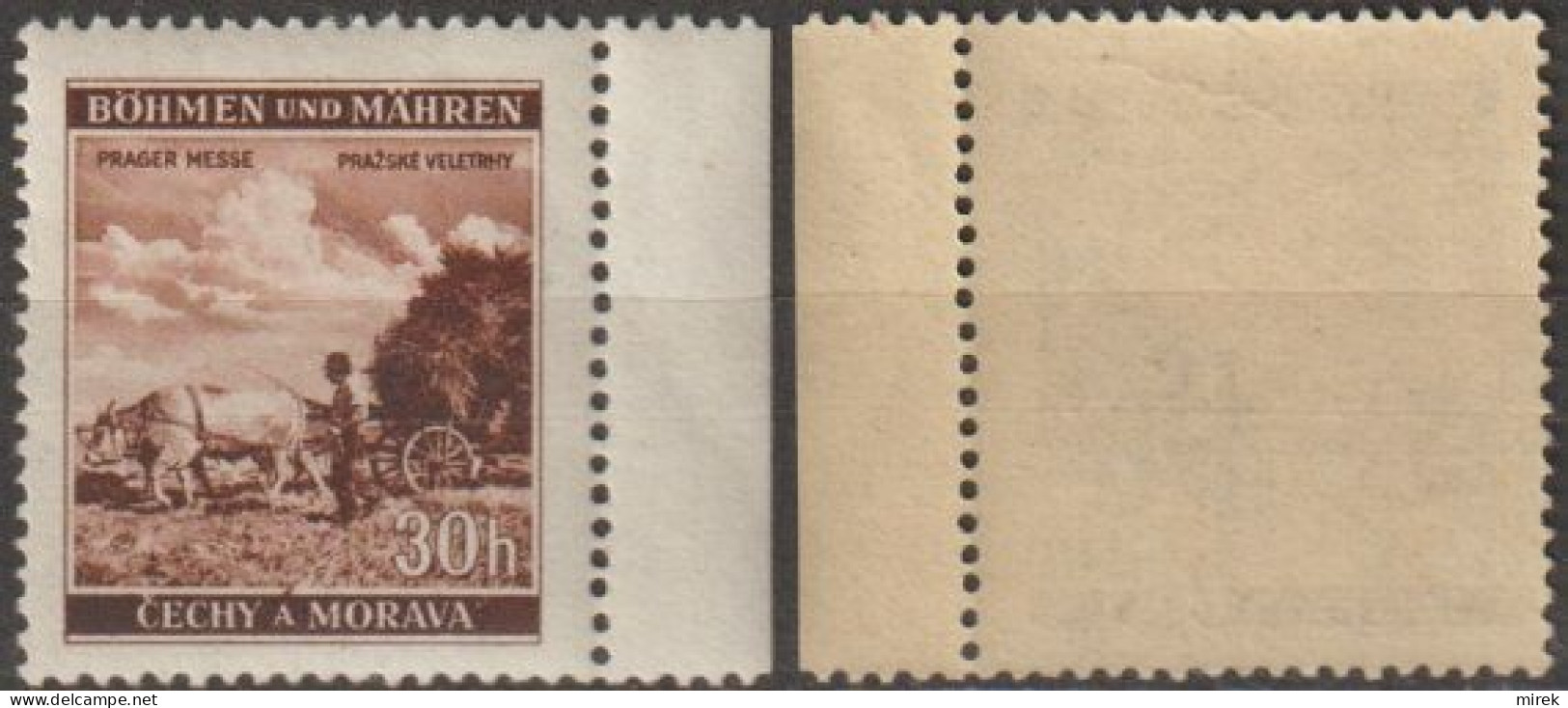 31/ Pof. 64, Yellow Gum - Unused Stamps