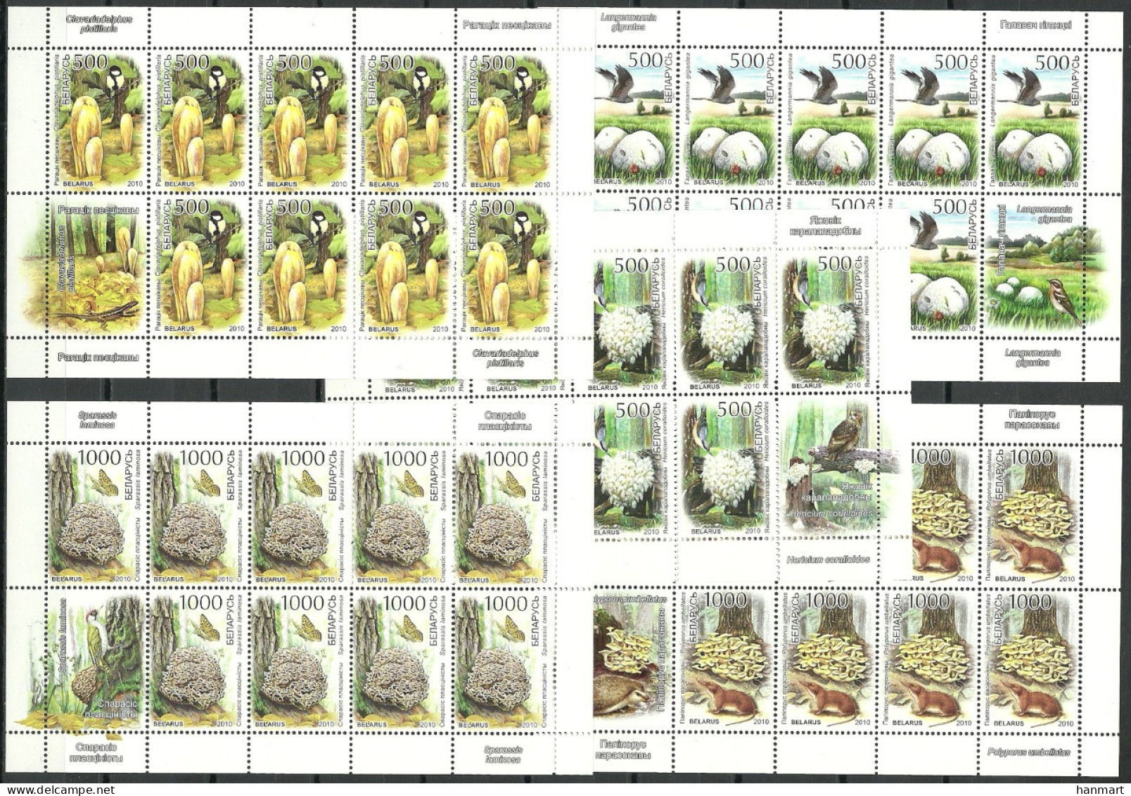 Belarus 2010 Mi Sheet 828-832 MNH  (ZE4 BYLark828-832) - Mushrooms