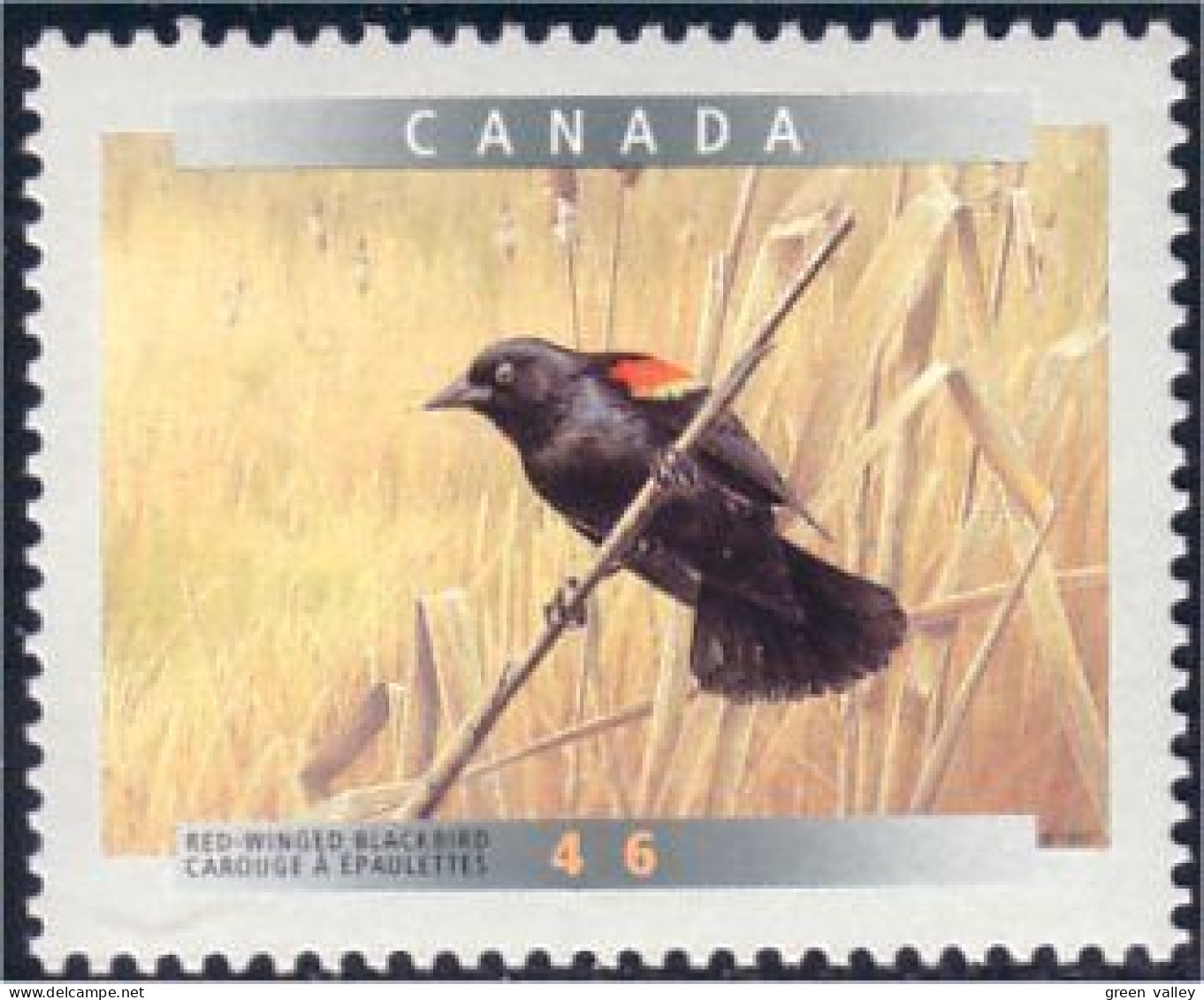 Canada Carouge Blackbird MNH ** Neuf SC (C17-71b) - Autres & Non Classés