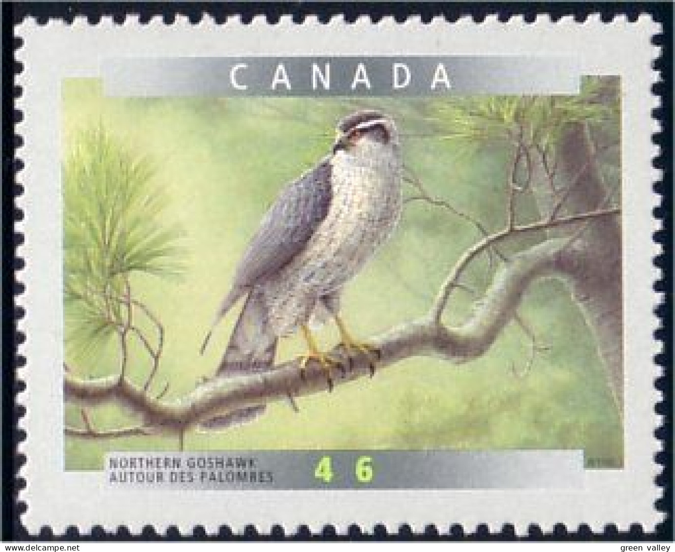 Canada Autour Des Palombes Goshawk MNH ** Neuf SC (C17-70b) - Eagles & Birds Of Prey