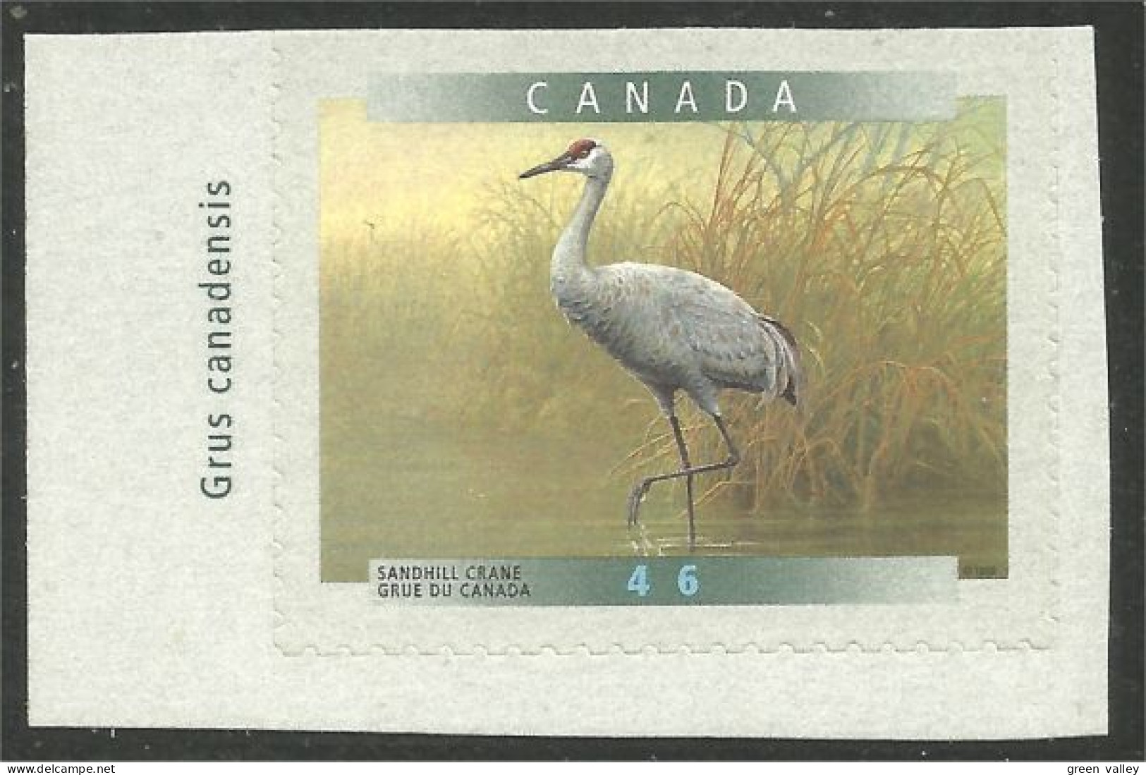 Canada Grue Sandhill Crane Adhesive MNH ** Neuf SC (C17-77gl) - Nuevos