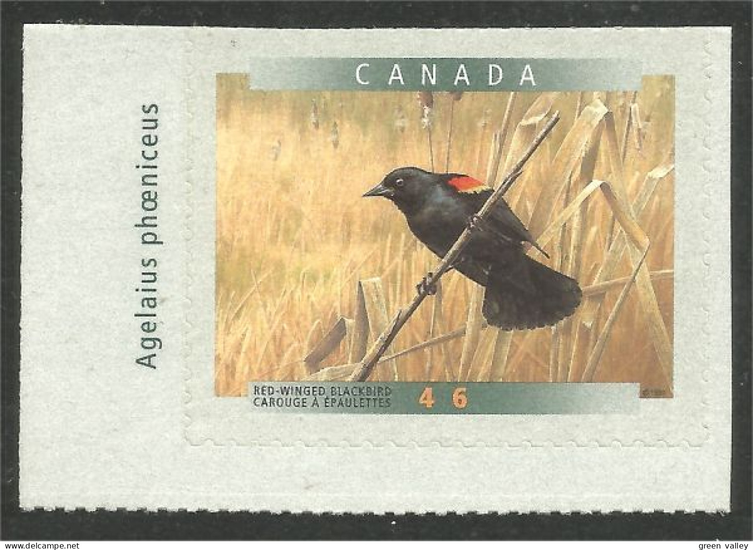 Canada Carouge Blackbird Adhesive MNH ** Neuf SC (C17-75gl) - Neufs