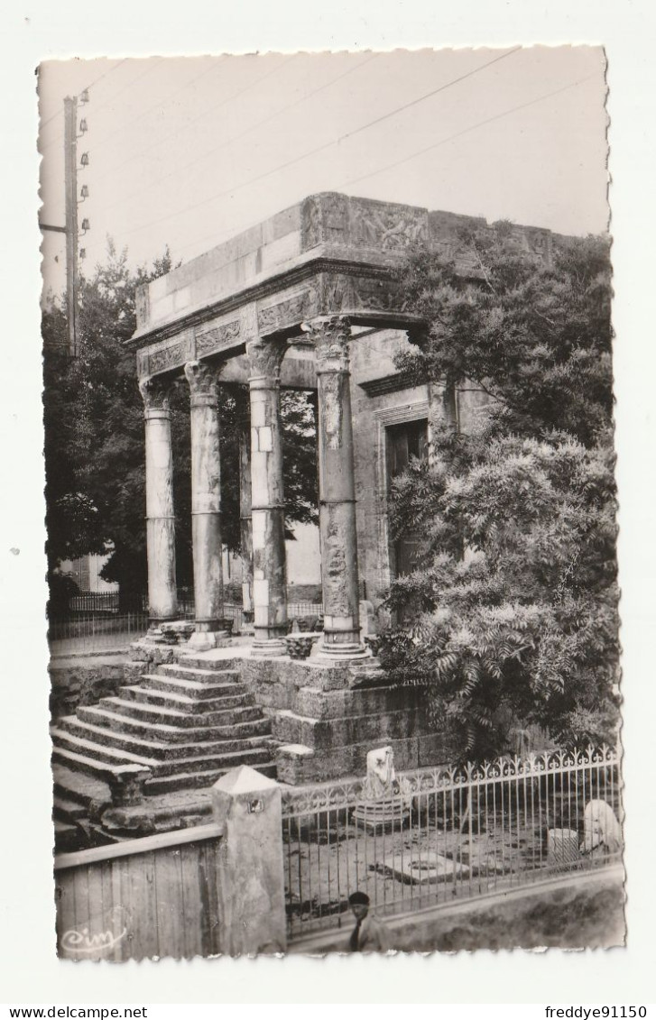 Algérie . Tébessa . Temple De Minerve N°106 - Tebessa