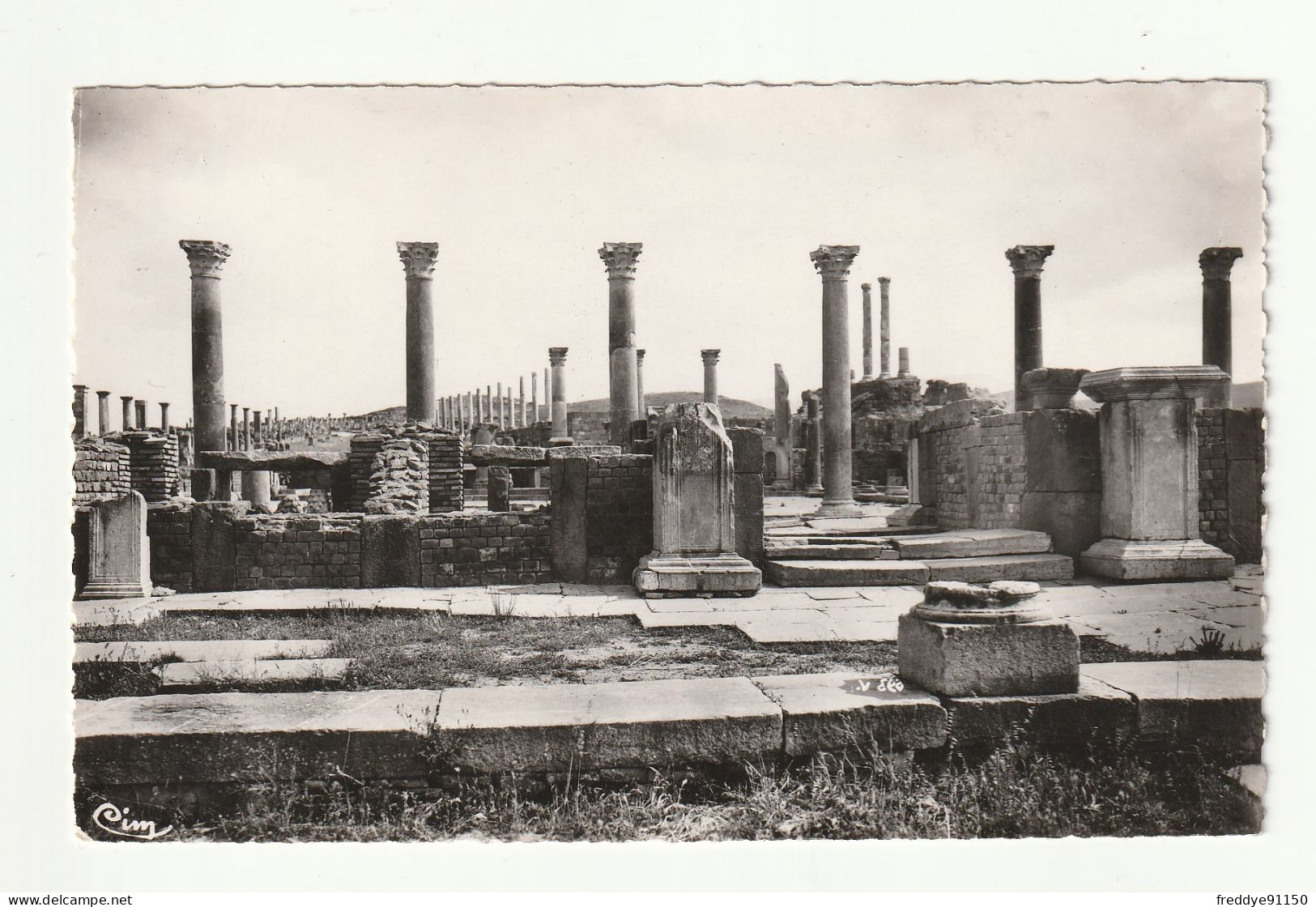 Algérie . Timgad . Ruines De La Ville Romaine  N°3000 Bis . - Otros & Sin Clasificación
