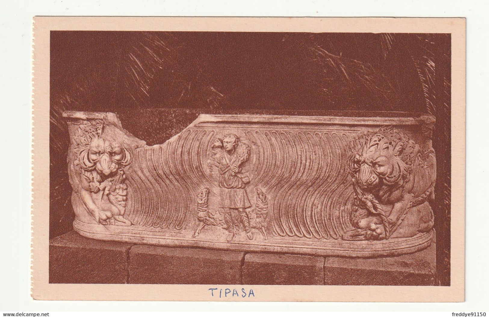 Algérie . Tipasa . Sarcophage Bon Pasteur - Other & Unclassified