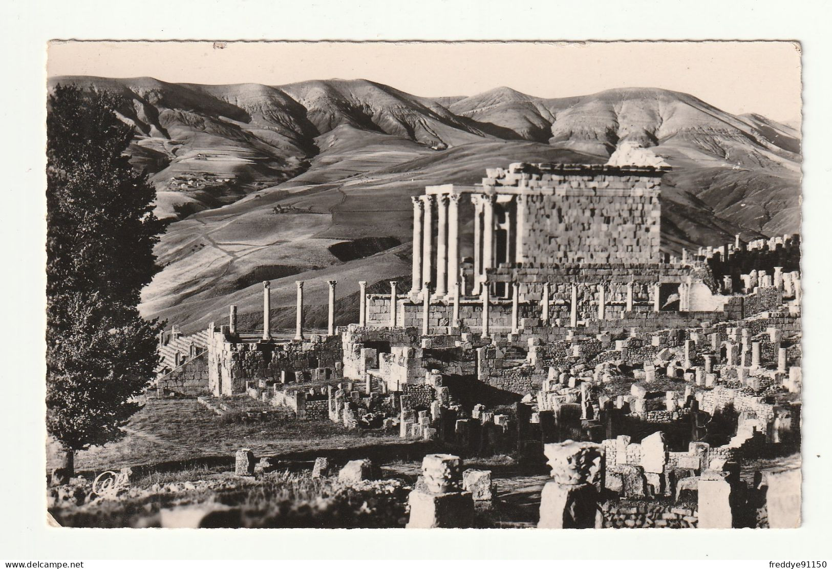 Algérie . Djemila . Vue Générale Sur Le Temple Septimien N° 542 - Other & Unclassified