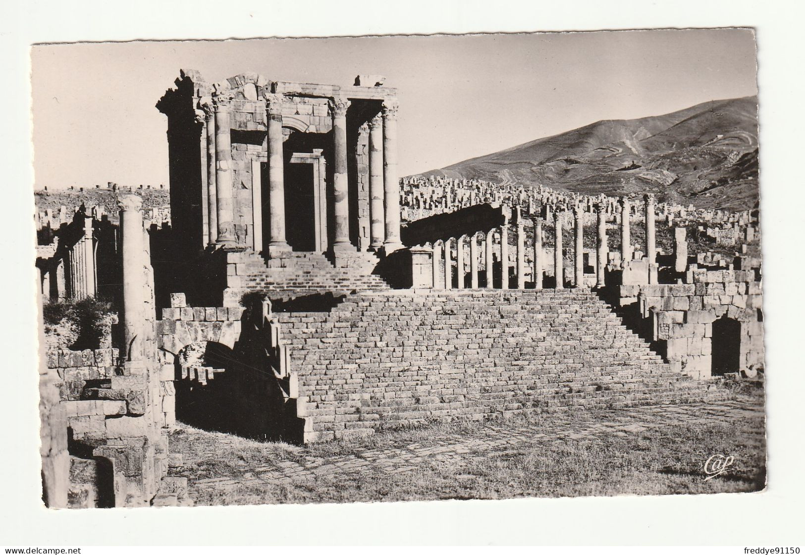 Algérie . Djemila . Le Temple Septimien N° 18 - Otros & Sin Clasificación