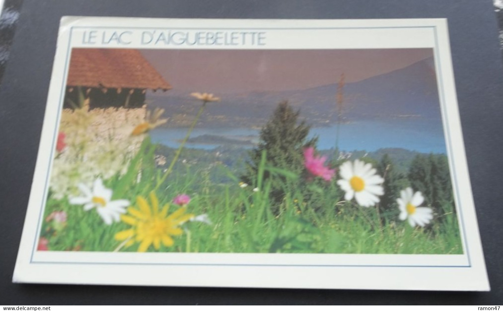 Le Lac D'Aiguebelette - L'été Près Du Lac ... - EDY Chambéry - Val D'Isere