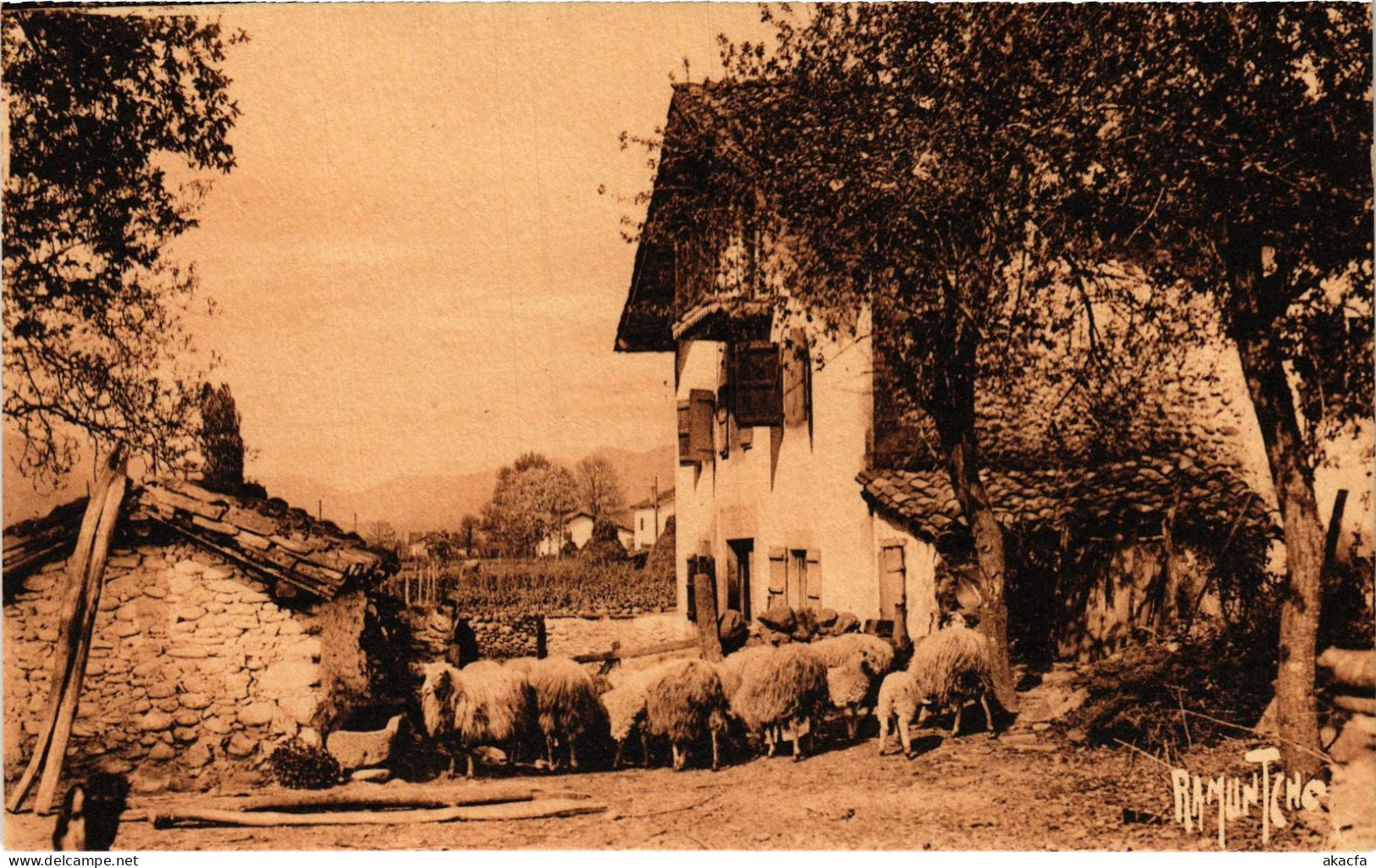 CPA Pays Basque St-Jean-Pied-de-Port Ferme Basque (1390156) - Saint Jean Pied De Port