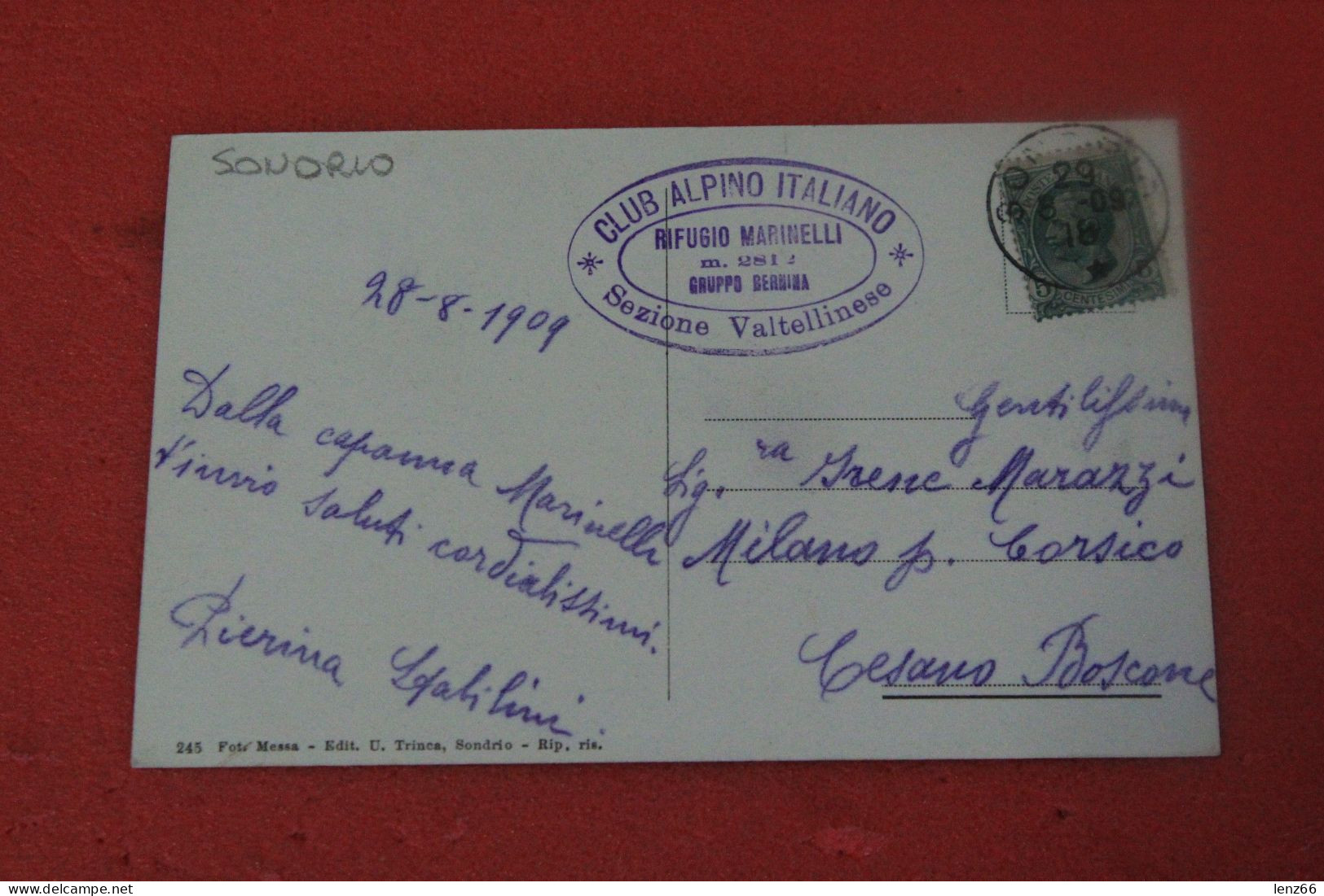 Sondrio Valmalenco Lanzada Rifugio Capanna Marinelli 1909 + Timbro Ed. Trinca Molto Bella+++++ - Sondrio
