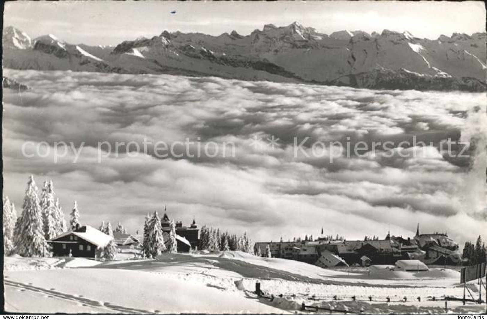 11902288 Rigi Kaltbad Nebelmeer Mit Berneralpen Rigi Kaltbad - Otros & Sin Clasificación