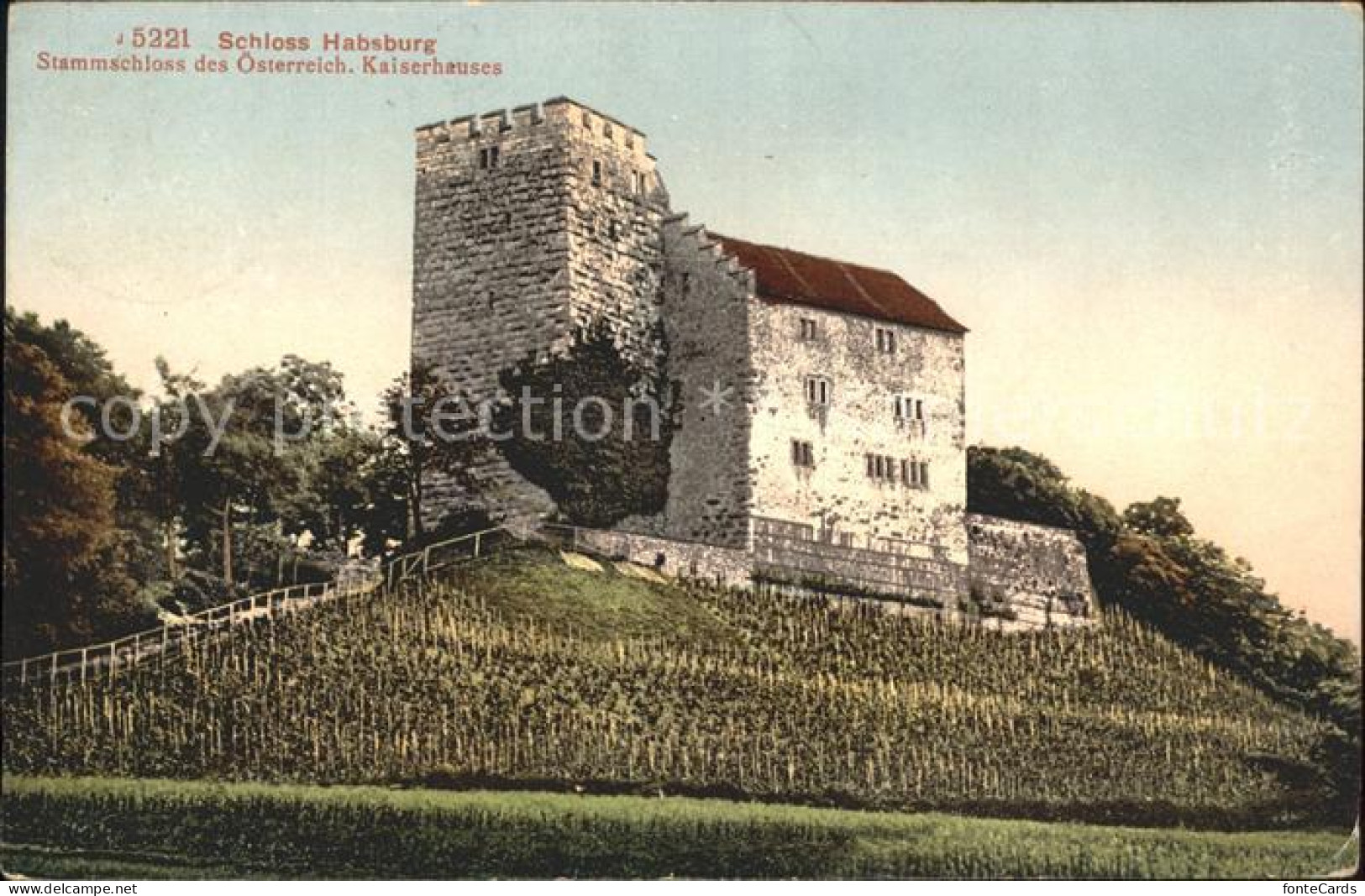 11902250 Habsburg Schloss Habsburg Habsburg - Autres & Non Classés