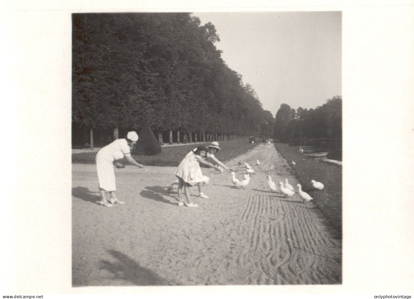 Francia 1936, Rambouillet, Animali Nel Parco, Foto Epoca, Vintage Photo - Plaatsen